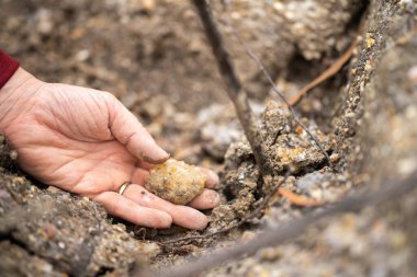 İlkbaharda Avustralya 'da mücevher ve metaller için kazı