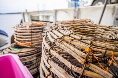 Balık ve kabuklu balık pazarı. Deniz ürünleri. Amerika 'da canlı ıstakoz yakalamak. Tazmanya Avustralya 'da kerevit avlıyorum. Çin 'in yeni yılına hazırım. 