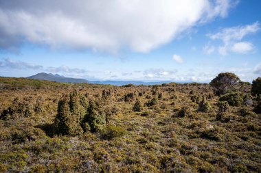 man hiking up a mountain with a backpack, alpine wilderness
