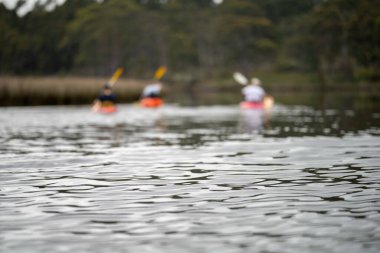 Kayaking on the river at sunset in summer in Australia 