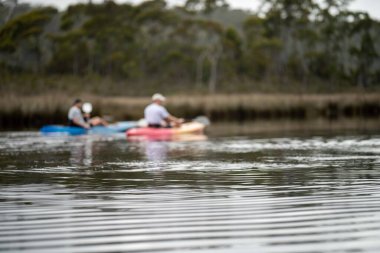 Kayaking on the river at sunset in summer in Australia 
