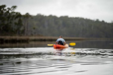 Kayaking on the river at sunset in summer in Australia 