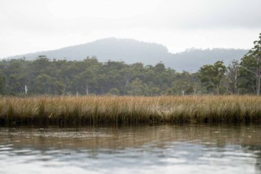 canoeing and kayaking on a river in Australia in summer