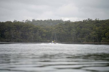 kayaking on a river in america with friends in summertime