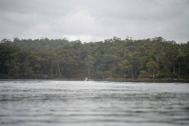 friends going for a kayak on a lake in summer time in america