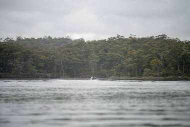 kayaking on a river in america with friends in summertime