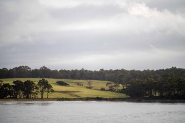 farm on the coast next to the ocean in australia in spring