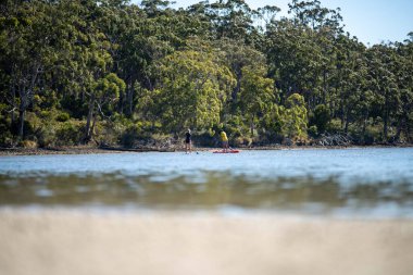 paddle boarding on a river in summer