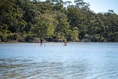 paddle boarding on a river in summer