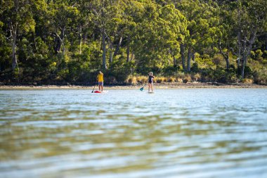 paddle boarding on a river in summer