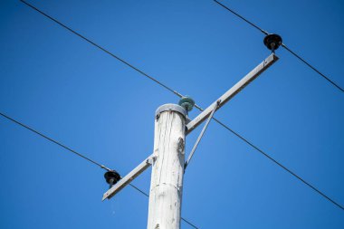 power lines in the bush in summer
