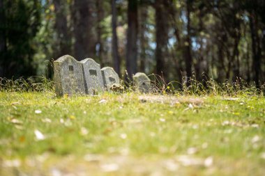 cemetery graves and cross in a graveyard in a church