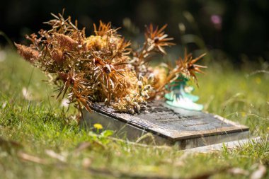 cemetery graves and cross in a graveyard in a church