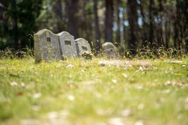 cemetery graves and cross in a graveyard in a church