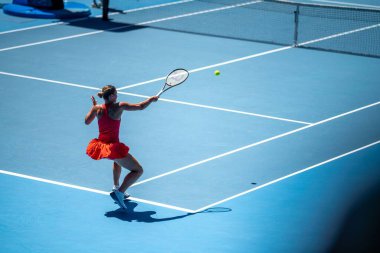 crowds watching a female Professional athlete Tennis player playing on a court in a tennis tournament in summer 