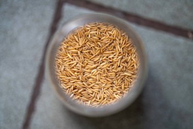 dried fruit, dates, prunes, grains, wheat, lentils, rice stored in glass jars in a kitchen in australia