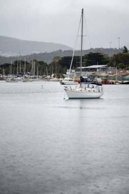 Denizdeki yatlar ve tekneler