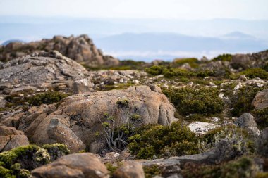 the peak of mt wellington looking over hobart city, rocky mountain in australia