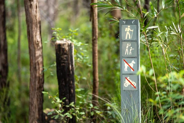 Pionowe Ujęcie Szlaku Turystycznego Znakiem Drewnianego Szlaku Lesie — Zdjęcie stockowe