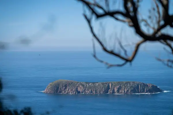 Mirando Hacia Abajo Una Hermosa Isla Frente Costa Nsw Australia — Foto de Stock