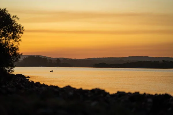 シドニーの夕暮れ時に湖に沈む白鳥の美しい風景 — ストック写真