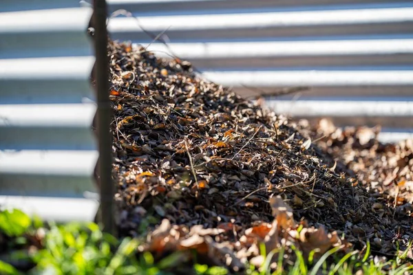 Kompost Stos Organiczny Termofilny Kompost Toczenia Tasmania Australia Wiosną — Zdjęcie stockowe