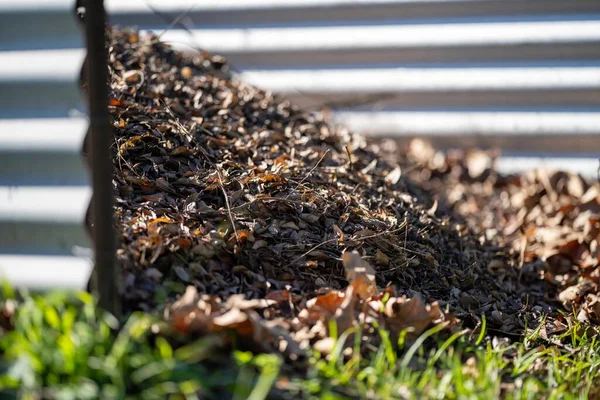 Sterta Wiórów Kompost Ogrodzie Miejskim Australii Wiosną — Zdjęcie stockowe