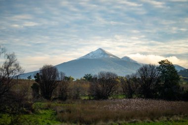 Arkasında ağaç olan dağ manzarası