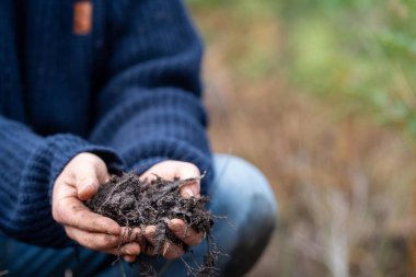 Gübre yığını, organik termofilik gübre Tazmanya Avustralya 'da dönüyor.