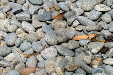 pebbles on a beach in tasmania australia in summe