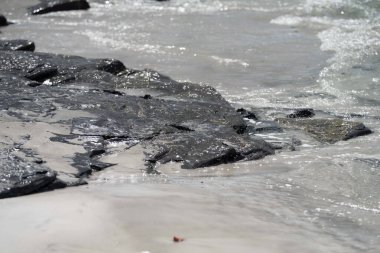 Yaz mevsiminde deniz kıyısında