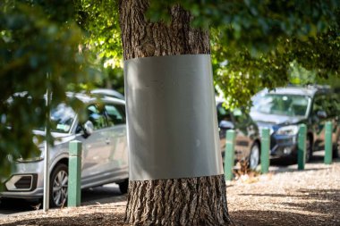 Tree guard on a mature tree in a park protecting it from possums in melbourne