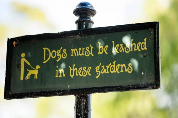 Dogs Lead Sign — Φωτογραφία Αρχείου