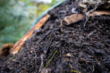 Bir odun yığını yığınına yakın.