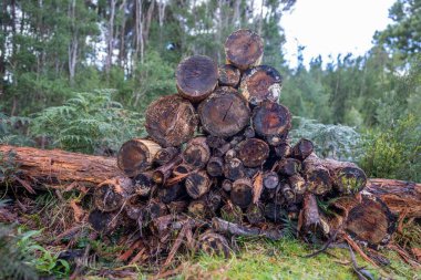 Pile of stacked fire wood in a Garden by a house in Tasmania Australia in winter