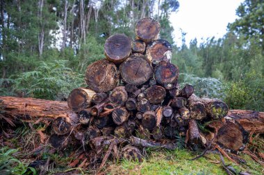 Pile of stacked fire wood in a Garden by a house in Tasmania Australia in winter