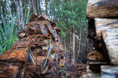 Pile of stacked fire wood in a Garden by a house in Tasmania Australia in winter