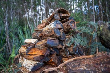 Pile of stacked fire wood in a Garden by a house in Tasmania Australia in winter