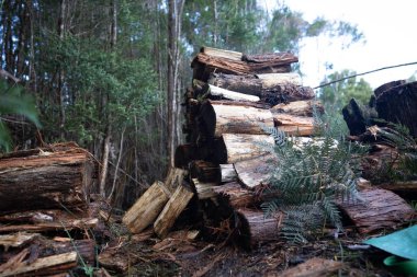 Pile of stacked fire wood in a Garden by a house in Tasmania Australia in winter