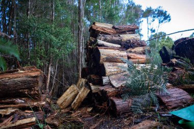 Pile of stacked fire wood in a Garden by a house in Tasmania Australia in winter