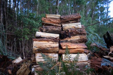 Pile of stacked fire wood in a Garden by a house in Tasmania Australia in winter