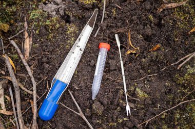 Yenileyici organik çiftçi, toprak örnekleri alıyor ve bir çiftlikteki bitkilere bakıyor. İlkbaharda sürdürülebilir tarım uygulaması