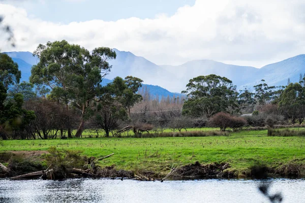 Αγρόκτημα Βουνά Και Ποτάμι Στην Αυστραλία Την Άνοιξη — Φωτογραφία Αρχείου