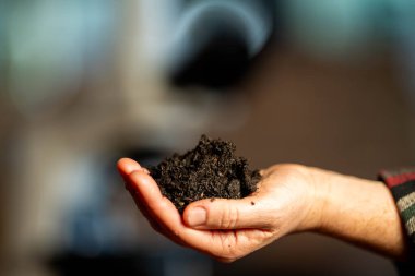 Toprak tutan kadın çiftçi, kendi laboratuarında toprak testi yapıyor. Avustralya 'daki toprak yaşamı ve sağlığa bakıyorum.