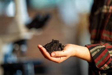 Genç kadın toprak bilimci Avustralya 'daki bir toprak laboratuarında toprak tutuyor. 