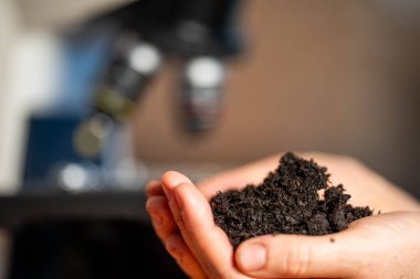 Genç kadın toprak bilimci Avustralya 'daki bir toprak laboratuarında toprak tutuyor. 