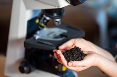 Genç kadın toprak bilimci Avustralya 'daki bir toprak laboratuarında toprak tutuyor. 