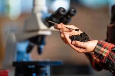 Toprak tutan kadın çiftçi, kendi laboratuarında toprak testi yapıyor. Avustralya 'daki toprak yaşamı ve sağlığa bakıyorum.