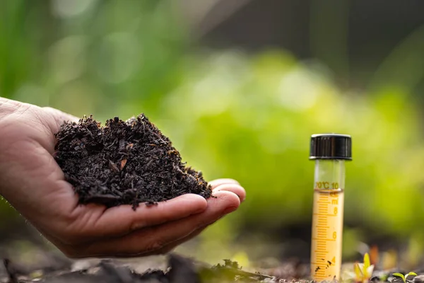 Female farmer hold soil in hands monitoring soil health on a farm in australia