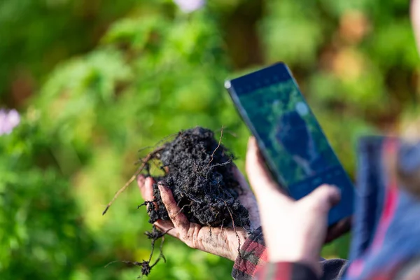 Kadın çiftçi toprağı test etmek için teknolojiyi kullanıyor. Çiftçi toprak örneğinin fotoğrafını çekiyor. Avusturalya 'da toprağı elinde tutan